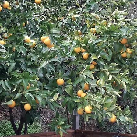 Marines De Holiday home