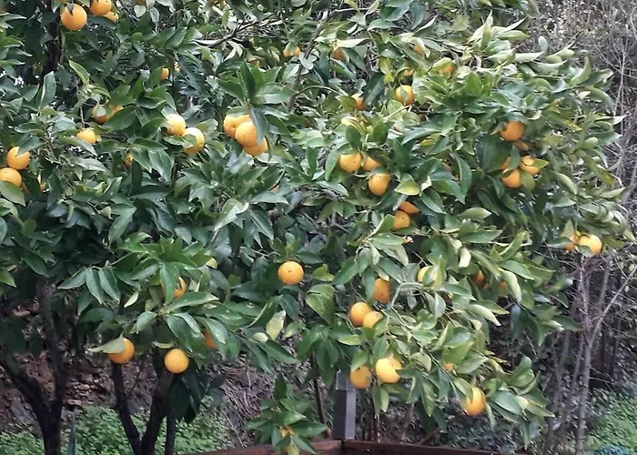 Marines De Holiday home